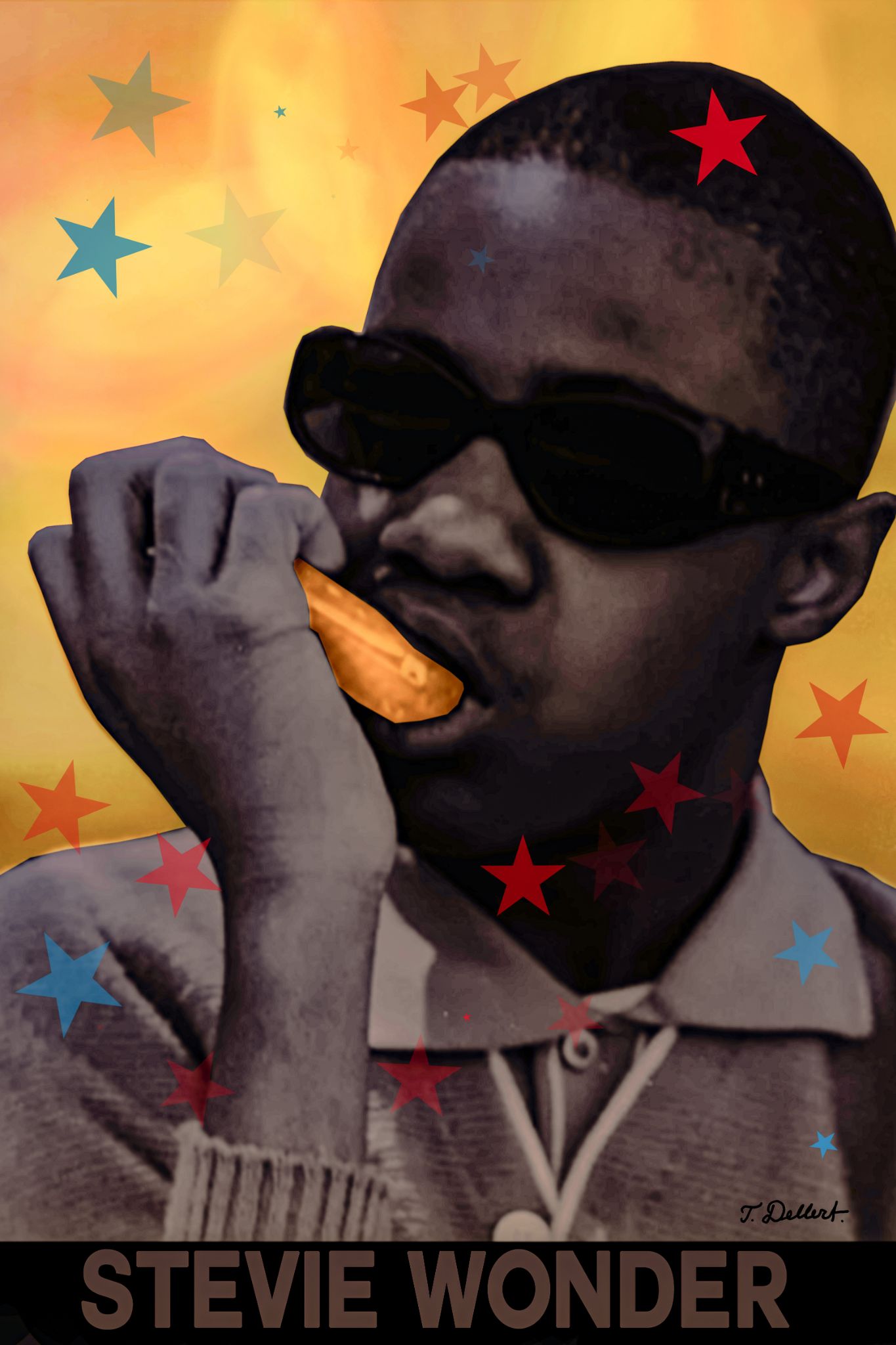 STEVE WONDER  FINAL  2 copy